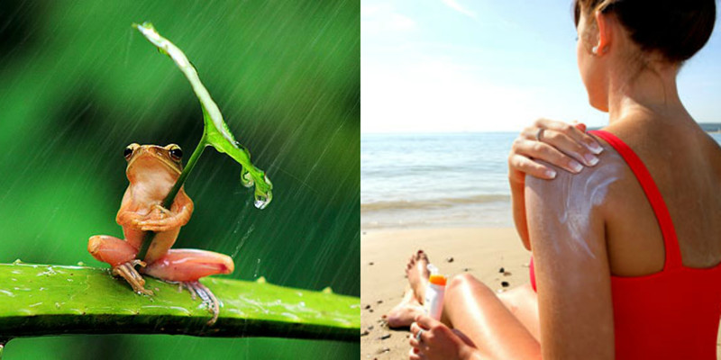 sun cream instead of sheltering from the rain